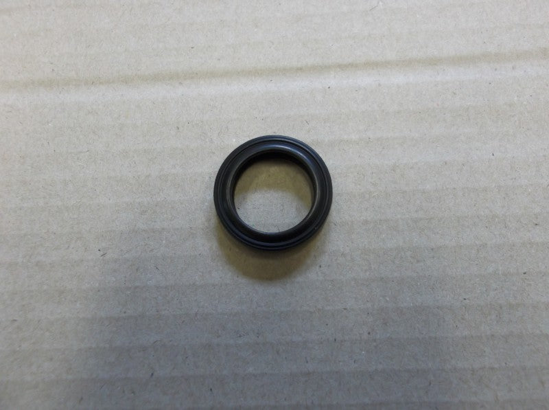 Glow-Worm 0020014182SINGLE Lip Seals