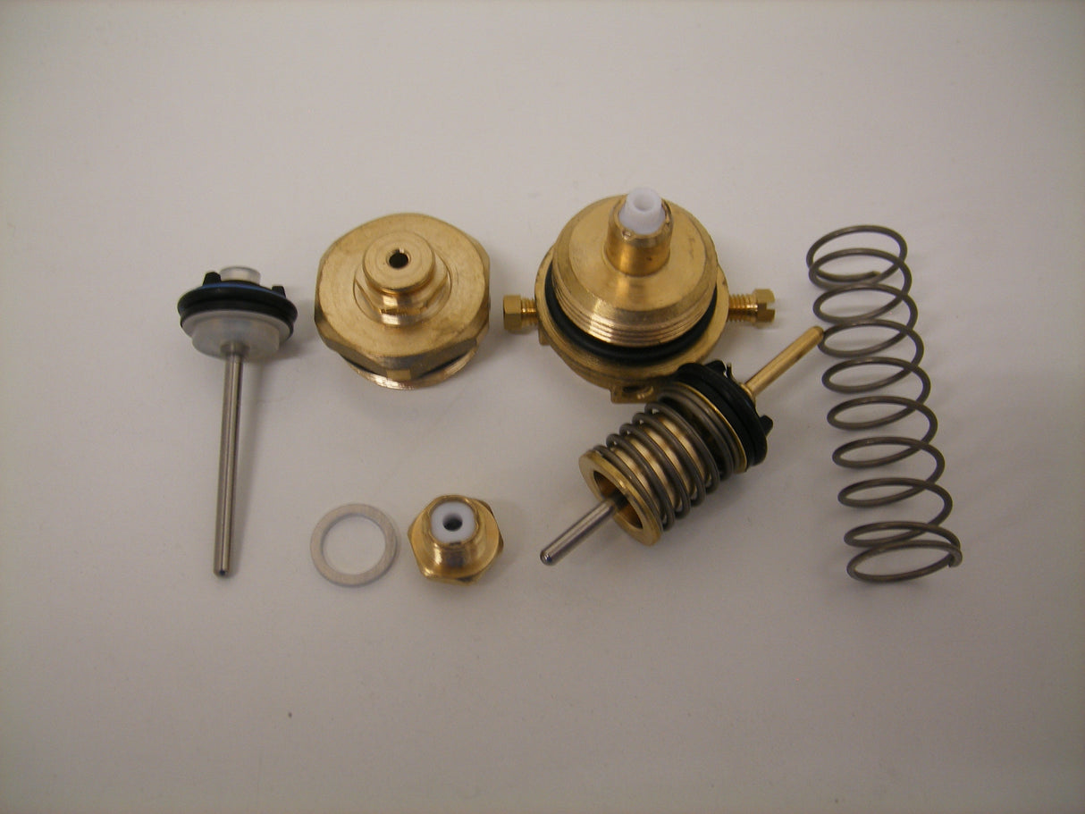 Biasi BI1011504 Actuator Kit (D/Valve Kit)