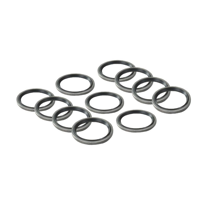 Worcester Bosch 87101031610 Washer 18.3 X 24.3 (X10) (Special)